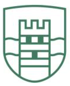 button-icon